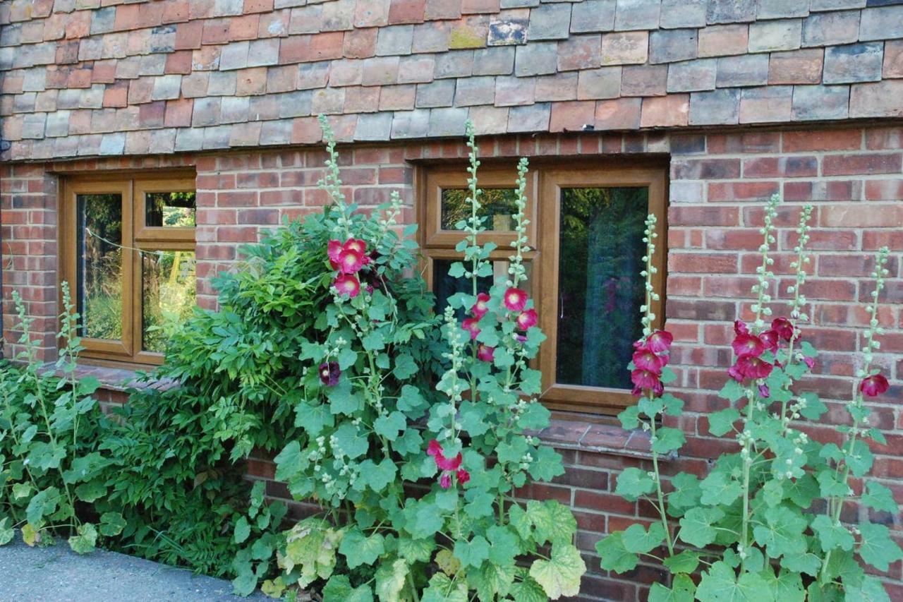 Hollyhock Cottage Ashford  Ngoại thất bức ảnh